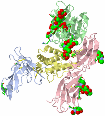 Image Biol. Unit 1 - sites