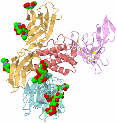 Image Biological Unit 2