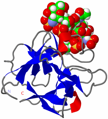 Image NMR Structure - model 1