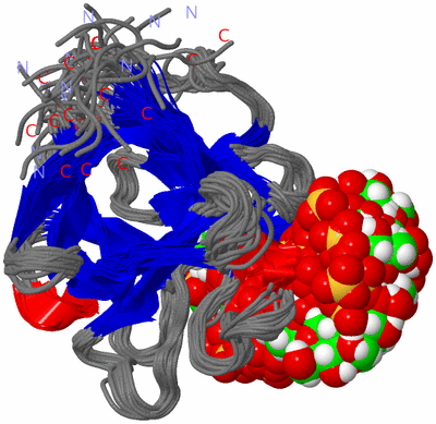 Image NMR Structure - all models