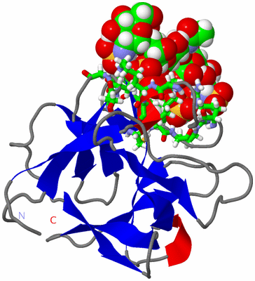 Image NMR Structure - model 1, sites