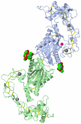 Image Biological Unit 1