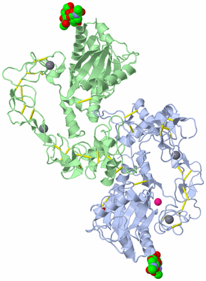 Image Biological Unit 2