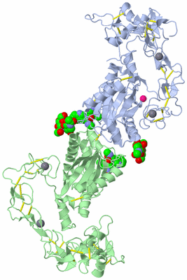 Image Biological Unit 1