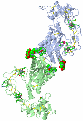 Image Biol. Unit 1 - sites