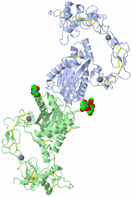 Image Biological Unit 1