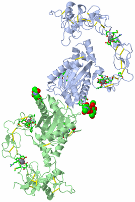 Image Biol. Unit 1 - sites