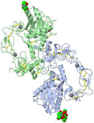 Image Biological Unit 2