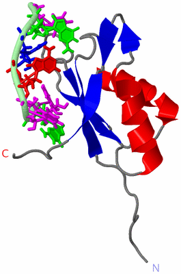 Image NMR Structure - model 1