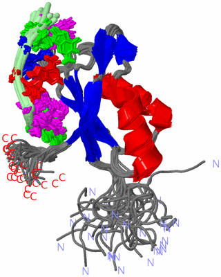 Image NMR Structure - all models