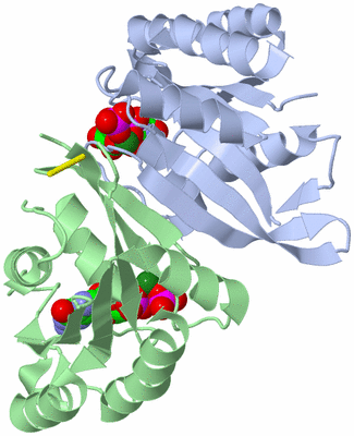 Image Asymmetric Unit
