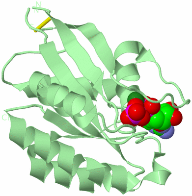 Image Biological Unit 2