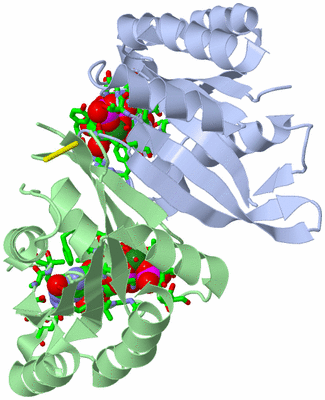 Image Asym. Unit - sites