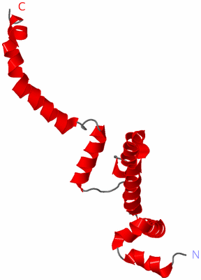 Image Asymmetric Unit