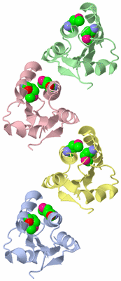 Image Asymmetric Unit