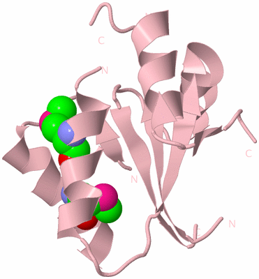 Image Biological Unit 3