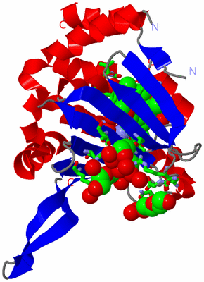 Image Asym./Biol. Unit - sites