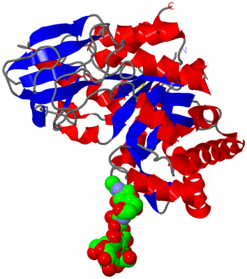 Image Asym./Biol. Unit