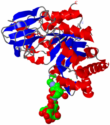 Image Asym./Biol. Unit - sites