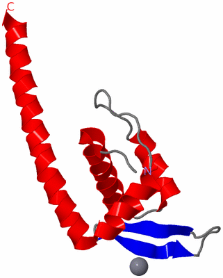 Image Asymmetric Unit
