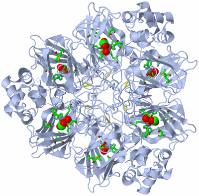 Image Biol. Unit 1 - sites