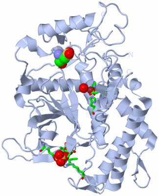 Image Biol. Unit 1 - sites