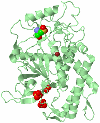 Image Biological Unit 2