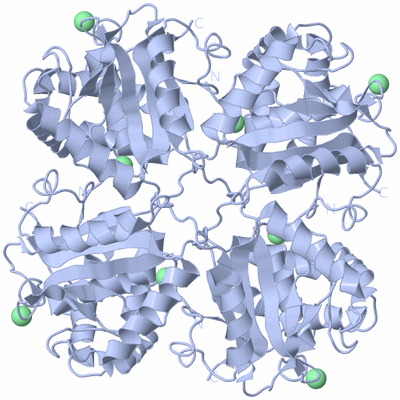 Image Biological Unit 4