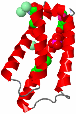 Image Asymmetric Unit