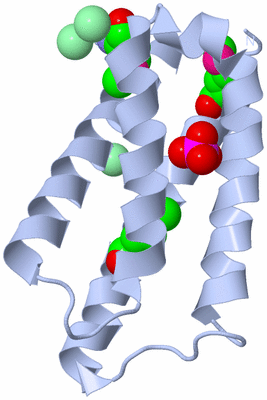 Image Biological Unit 1