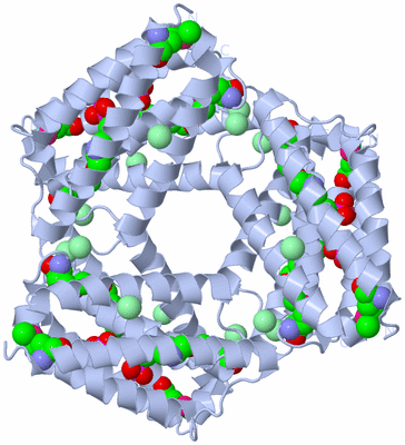 Image Biological Unit 2