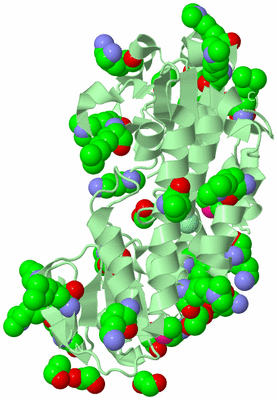 Image Biological Unit 2