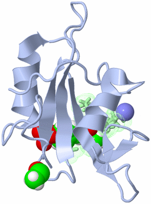 Image NMR Structure - model 1