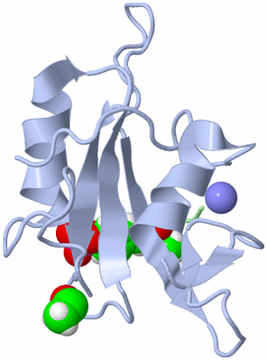 Image NMR Structure - all models