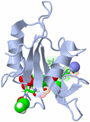 Image NMR Structure - model 1, sites