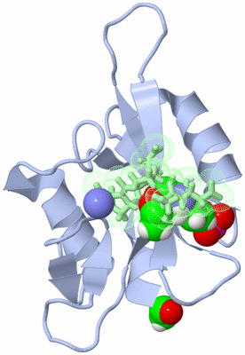 Image NMR Structure - model 1