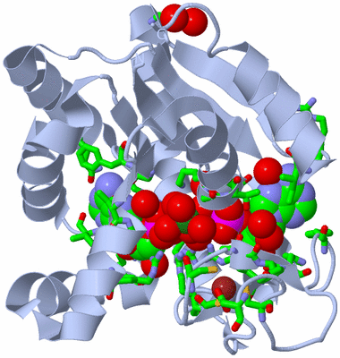 Image Biol. Unit 1 - sites