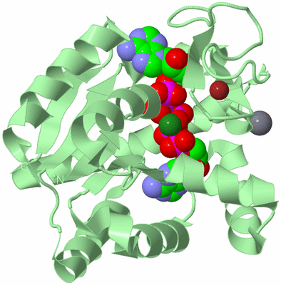 Image Biological Unit 2