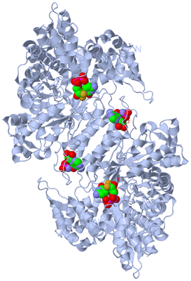 Image Biological Unit 1