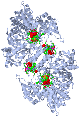 Image Biol. Unit 1 - sites