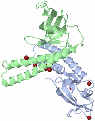 Image Biological Unit 1