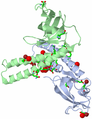 Image Biol. Unit 1 - sites