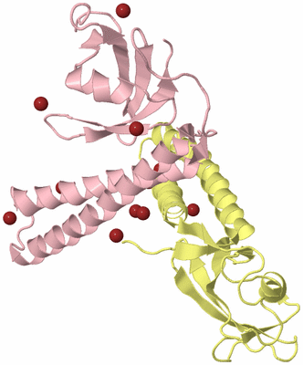 Image Biological Unit 2