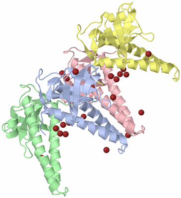 Image Biological Unit 3