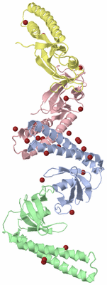 Image Biological Unit 4