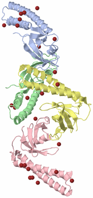 Image Biological Unit 5