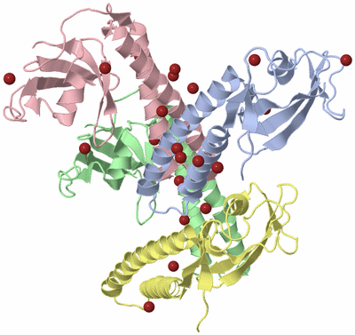 Image Biological Unit 6