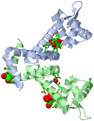 Image Asym./Biol. Unit - sites