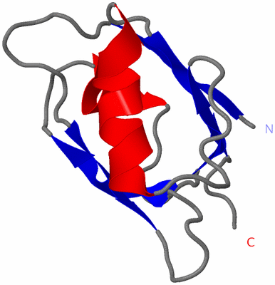 Image NMR Structure - model 1