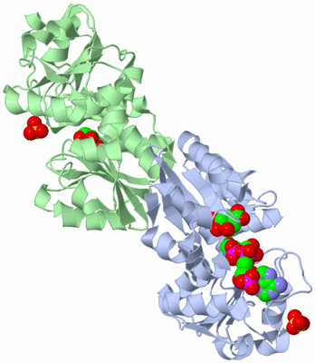 Image Asym./Biol. Unit